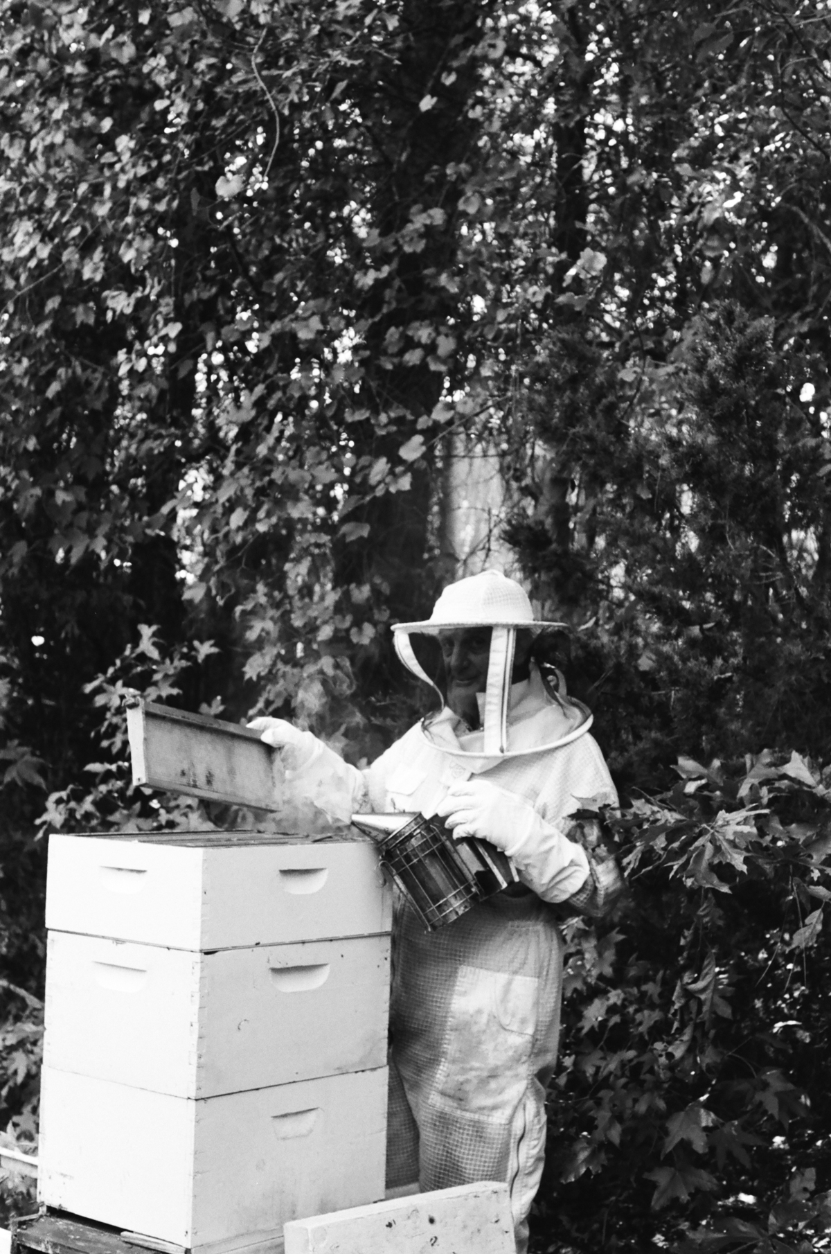 A beekeeper tends to his hives in a black-and-white photograph.